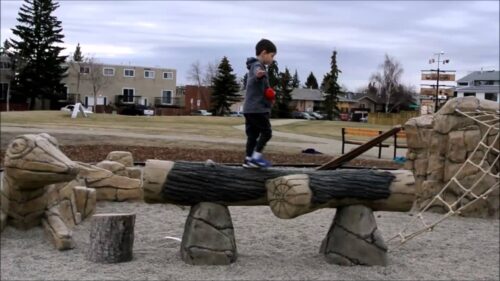 custom playground obstacle course