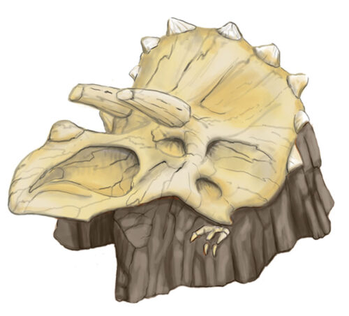 Tricera-Climb is an independent playground climber that looks like a Triceratops fossilized skull on a rock.