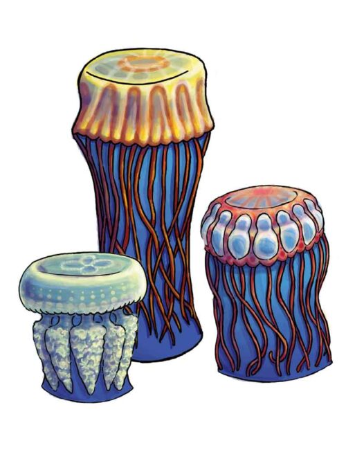 Illustration of set of three jellyfish pod hoppers.