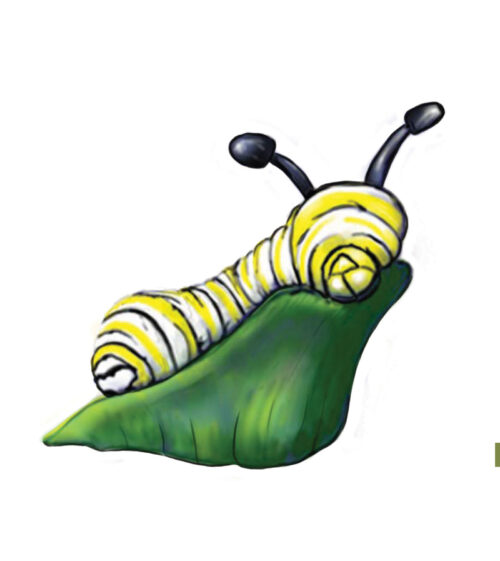 Illustration of larger than life caterpillar that is yellow, black, white striped on a green leaf that can be used as a climber on a playground