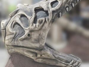 A realistic looking T Rex skull that kids can climb on in a playground