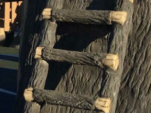 Log ladder as part of a TreeLine play structure with large trees
