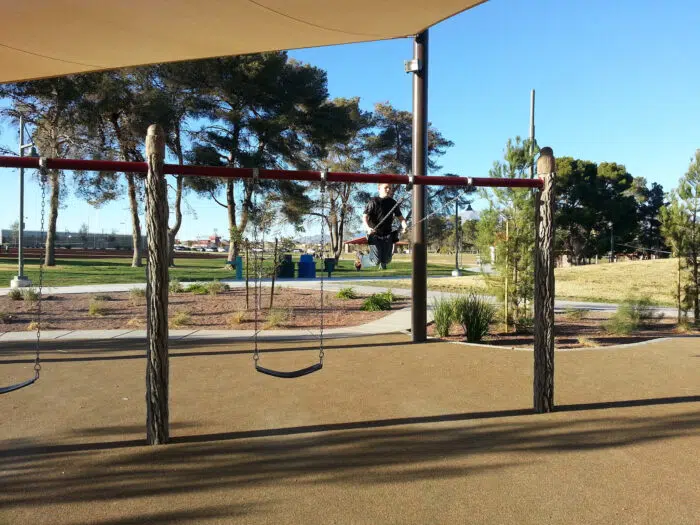 3 Bay Bark Swing