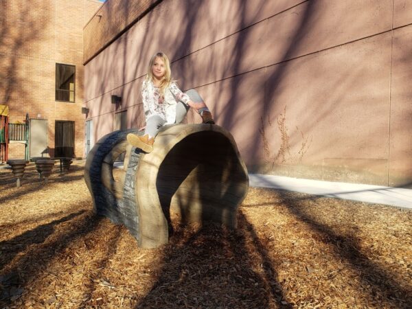 Log Tunnel - Image 4